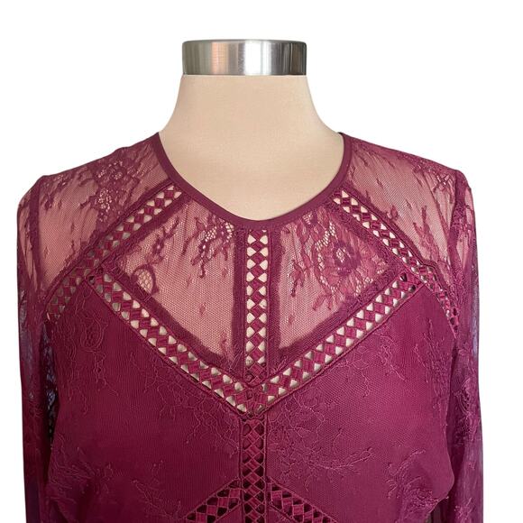 Greylin Burgundy Shirley Lace Sheath Dress LARGE Whimsygoth Dark Fairy Prom - Picture 6 of 14